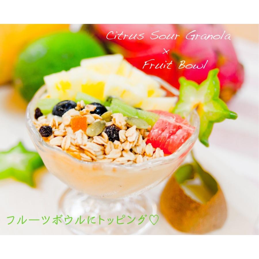 No.7 Citrus Sour (シトラスサワー) | 