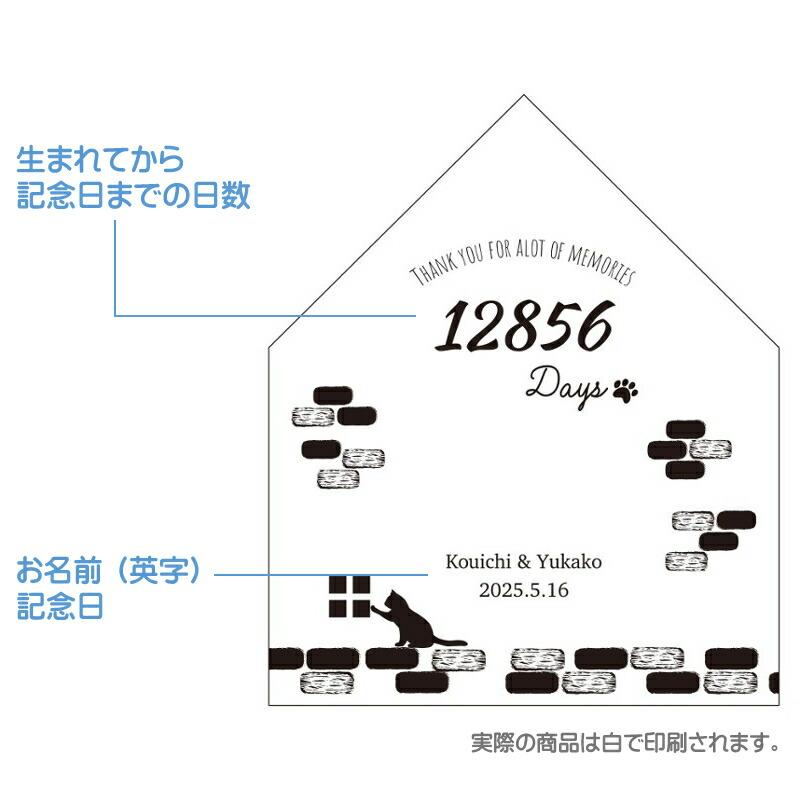 51432449_4