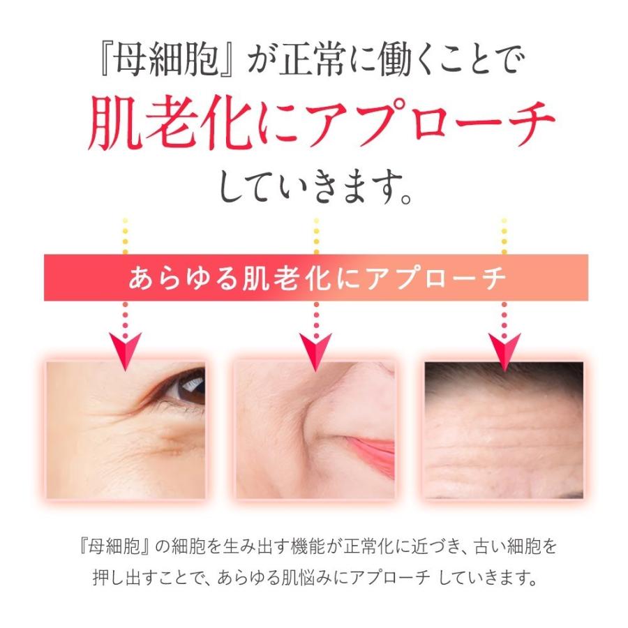 エニシー グローパック 10回分 2個セット 【リニューアル前商品