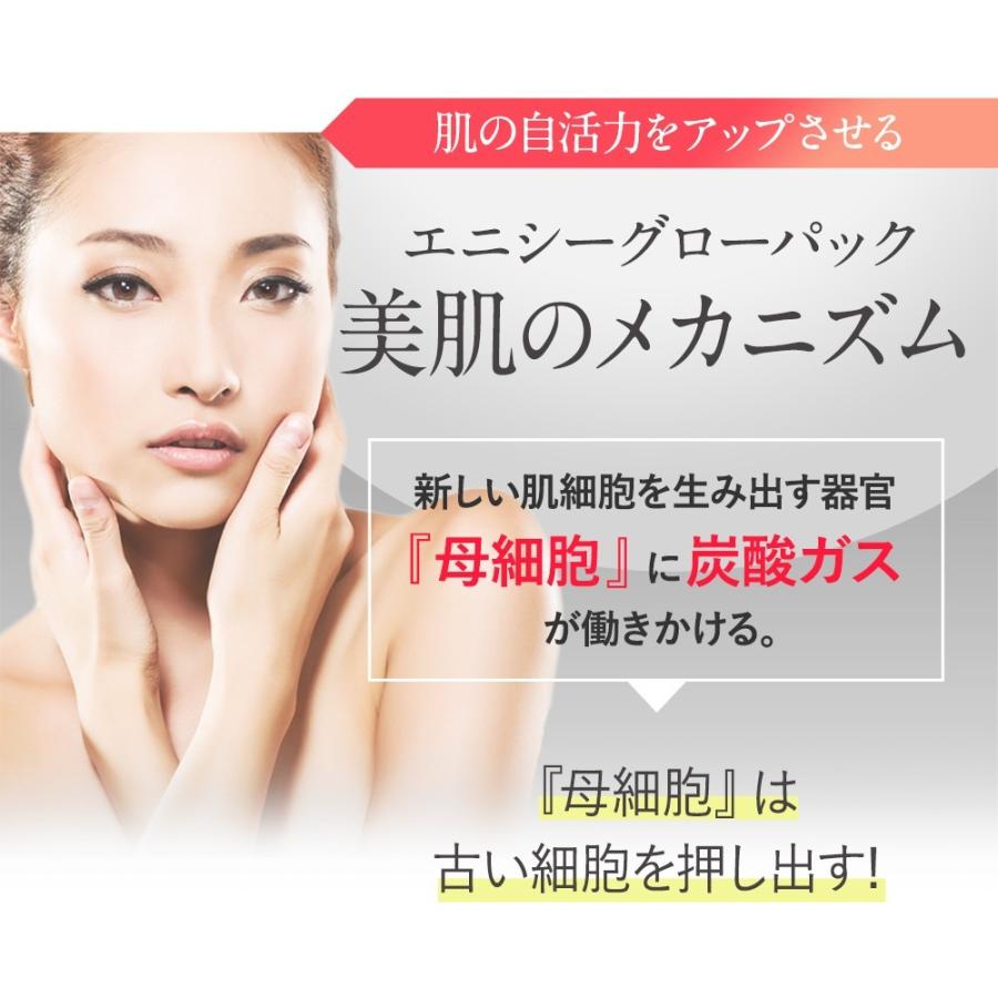 エニシー グローパック 10回分 正規品 送料無料 炭酸ガスパック エニシー グローパック 10回分 正規品 送料無料 炭酸ガスパック