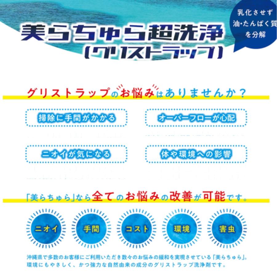 美ら技研株式会社 美らちゅら超洗浄（グリストラップ用） 450g