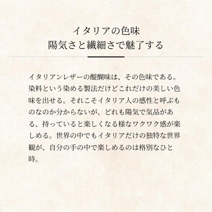 【ココマイスター】マットーネ・アルヴィート ビジネスバッグ メンズ 革 日本製 ブランド イタリア レザー | COCOMEISTER | 10