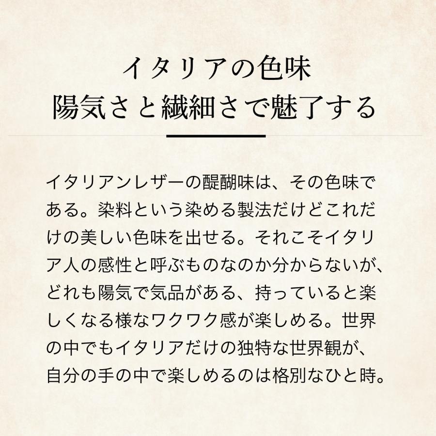 【ココマイスター】ナポレオンカーフ・ビジネスボナパルト ビジネスバッグ メンズ 革 日本製 ブランド 経年変化 | COCOMEISTER | 08