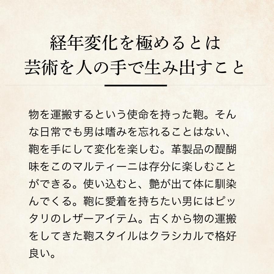 【ココマイスター】マルティーニ・サーモントラウトの画像