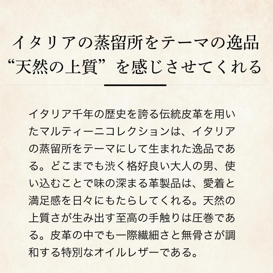 【ココマイスター】マルティーニ・サーモントラウトの画像