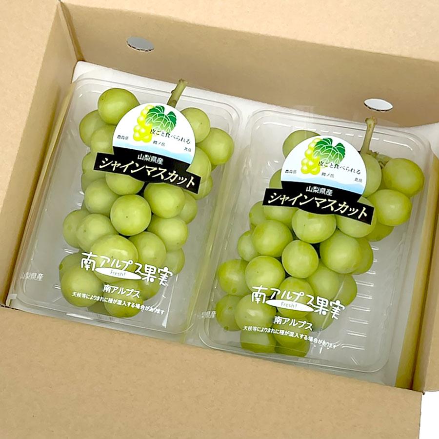 2025新商品 シャインマスカット 山梨県産 2パック入 約800g 南アルプス市産 高級ぶどう 種無し お手頃サイズ |  | 03