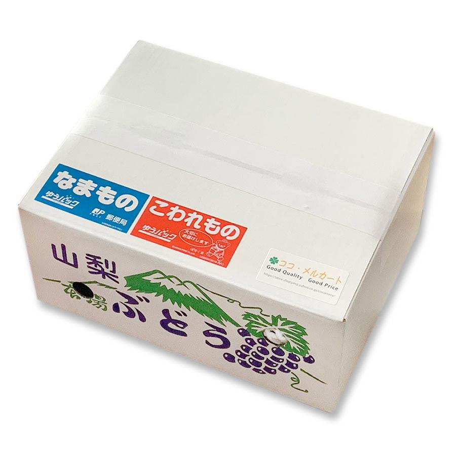 シャインマスカット 山梨県産 特大 2房入 約1.2kg 南アルプス市産 高級ぶどう 種無し |  | 05