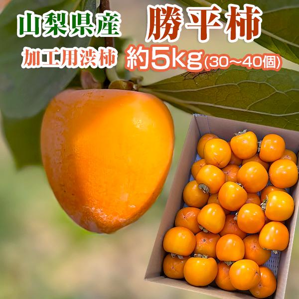 干し柿用 渋柿 山梨県産 勝平柿（かつへいがき、かっぺいがき） 加工用 生柿 約5kg 30〜40個 種なし Ｌ字枝付き 枯露柿 あんぽ柿 焼酎でさらし柿 南アルプス市産 | 