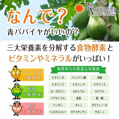 新品未使用品 バイオノーマライザー4箱（120包）【K874-962】 優良配送 バイオ・ノーマライザー ×4箱組 青パパイヤ酵素 顆粒