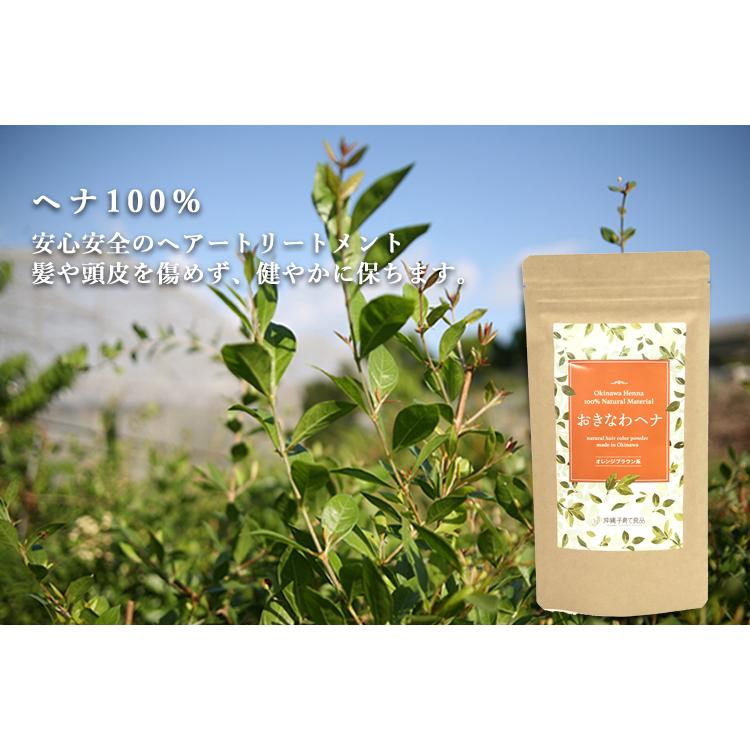 優良配送【2個で送料無料】沖縄子育て良品 おきなわヘナ オレンジ