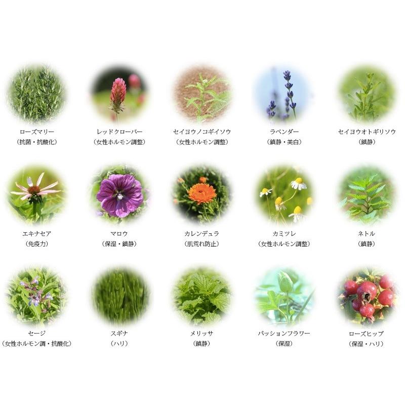 ROSES DE BIO ローズドビオ ブラッディローズ ジェリー（美容液