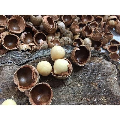 naure タマヌオイルのトライアルセット : coco natural(ココナチュラル