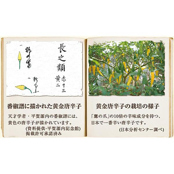 黄金一味 瓶 13g×4セット |  | 03