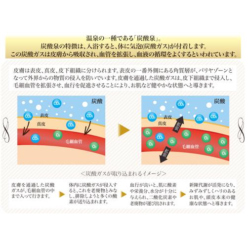 TANSAN スカルプDRプロ TANSAN MAGIC タンサンマジック 東洋炭酸研究所 200g×3の画像