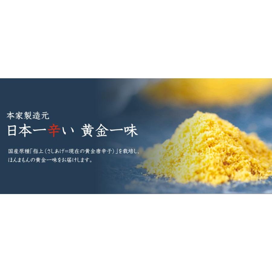 日本一辛い黄金一味仕込みのアジアングリーンカレー 200g　×6個組 |  | 04