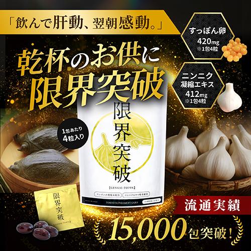 限界突破 サプリメント すっぽん卵・にんにくエキス 48粒（4粒×12包