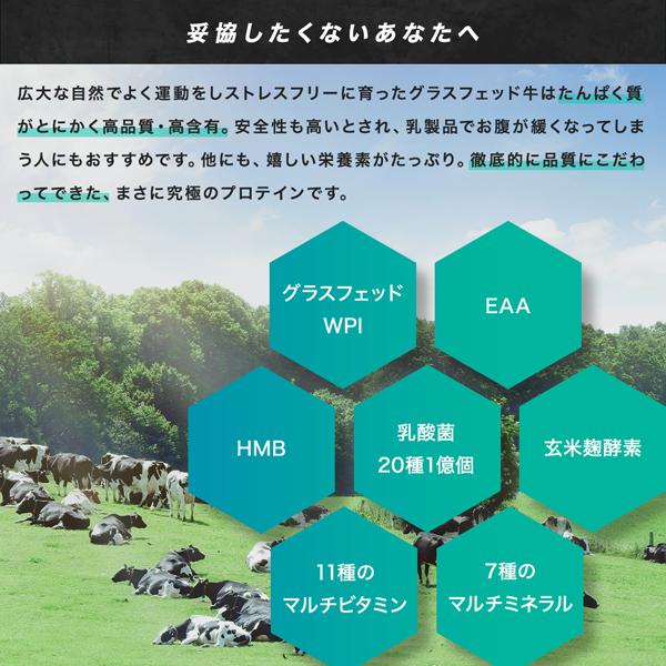 優良配送 BEYOND WPIプロテイン 1kg　オールインワン ホエイプロテイン 人工甘味料不使用 グラスフェッド 筋トレ トレーニング 粉末 大 RSL対象商品 |  | 15