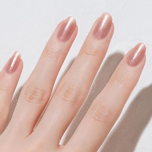 Genish Manicure ジーニッシュマニキュア 2025年秋冬コレクション 定番