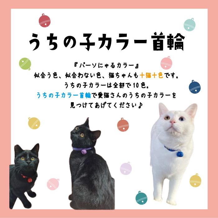 オレンジ】うちの子カラー首輪 パーソにゃるカラー 10色 シンプル 猫