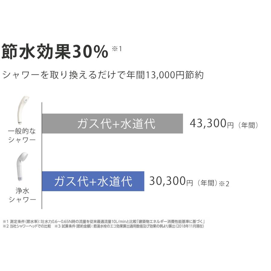 サンエイ 浄水ウルトラファインバブルシャワーセット マイクロバブル