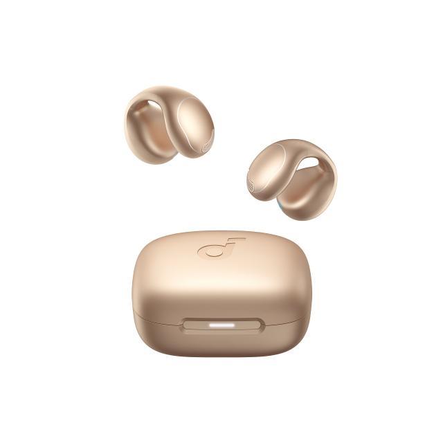 在庫処分]アンカー ANKER ワイヤレスイヤホン Soundcore C40i A3331NB1