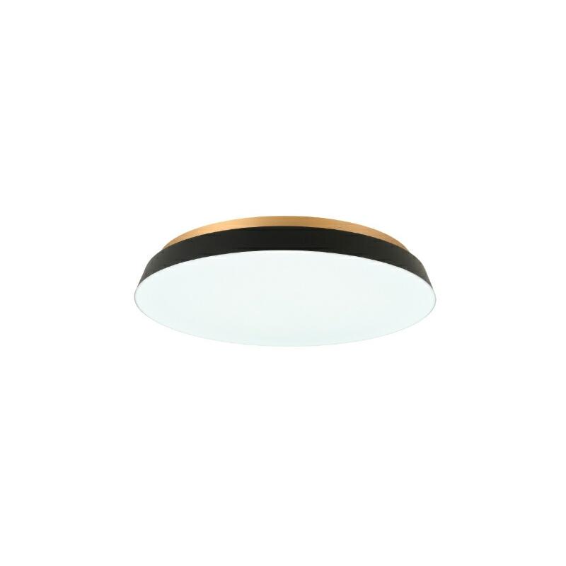 スワン電器 [正規品]SWAN LEDシーリング ~14畳 TAIRA ACE-175 LED 明る