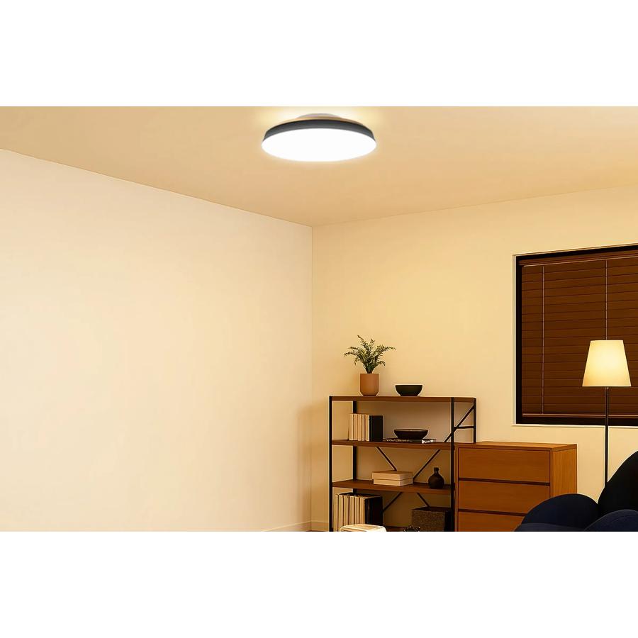 スワン電器 [正規品]SWAN LEDシーリング ~14畳 TAIRA ACE-175 LED 明る