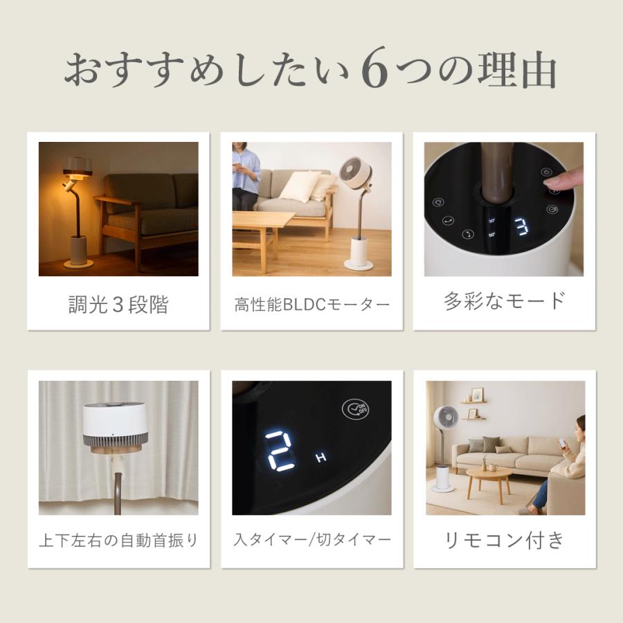 アルファックス・コイズミ [日本メーカー]アルコレ ライト