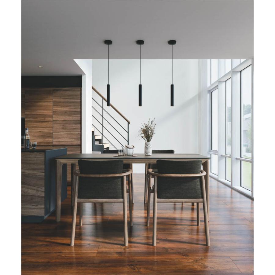 KOIZUMI（コイズミ） コイズミ照明 LEDペンダント AP55525 照明器具