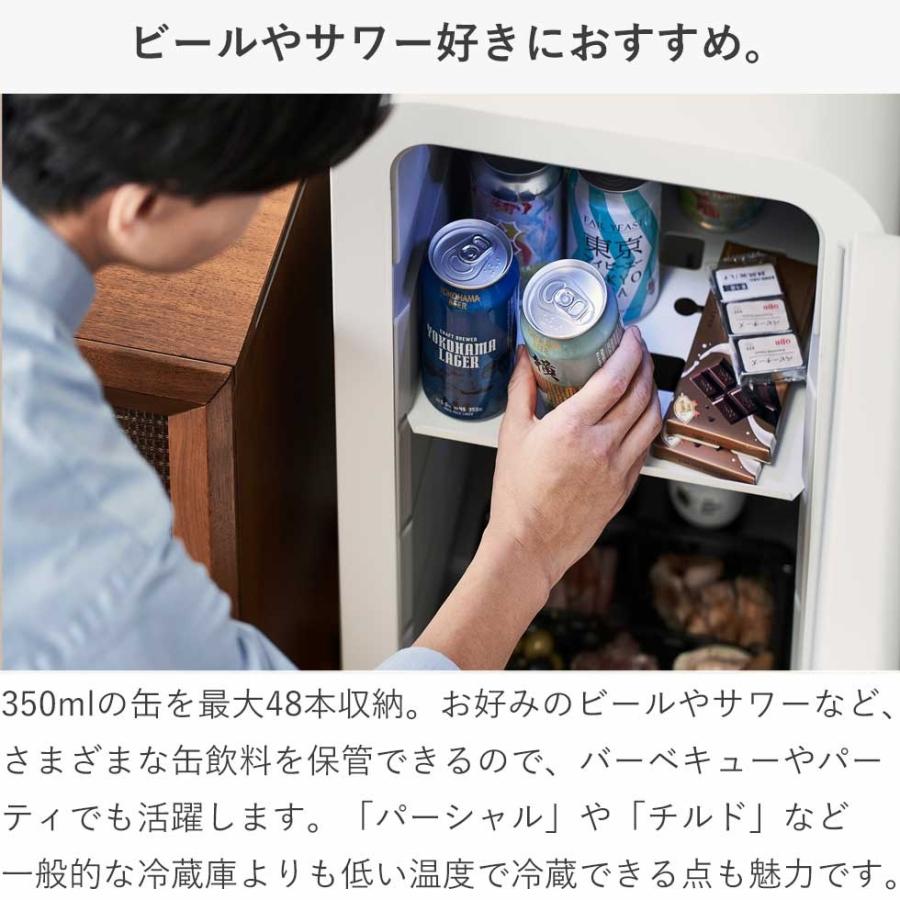 さくら製作所 パーシャル冷蔵庫 48L FROSTY (フロスティー) BSJ15 静音