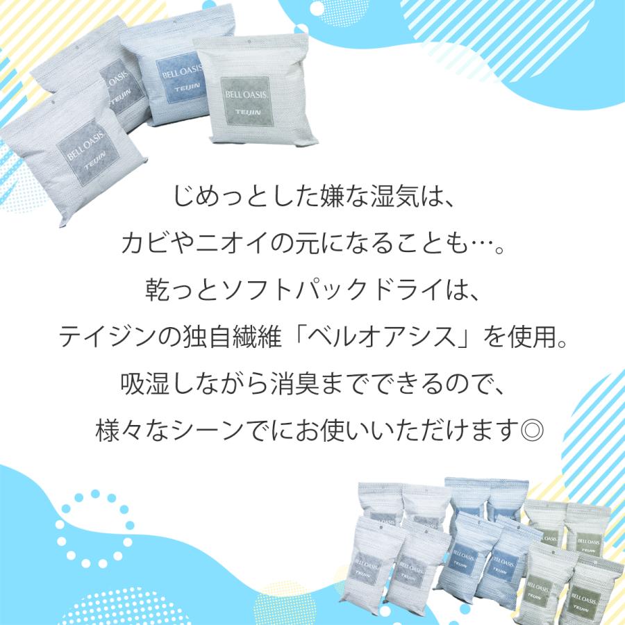 TEIJIN [送料込]テイジン 乾っとソフトパックドライ レギュラー