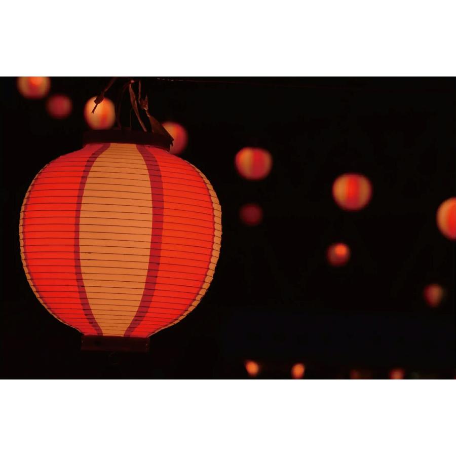 スワン電器 入荷未定 SWAN LED電球 E26 防水防塵 SWB-G450L ミニ電球