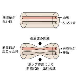 オムロンヘルスケア 低周波治療器 HVF-021-J3W OMRON 持ち運び 家庭用 電池式 スマホ PC コリ 痛み 腕 肩 腰 ふくらはぎ もみ たたき 揉み 運動 ケア HVF021J3W|の画像