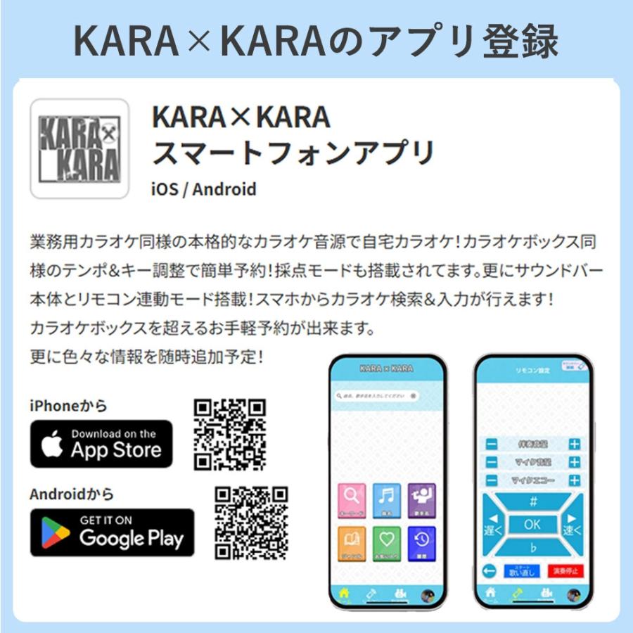 共同テレビジョン KARAxKARA（カラカラ）カラオケサウンドバー 家庭用