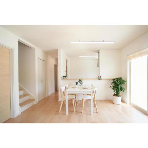 スワン電器 スワン電機 LEDシーリングライト 6畳 ブラック ホワイト 昼