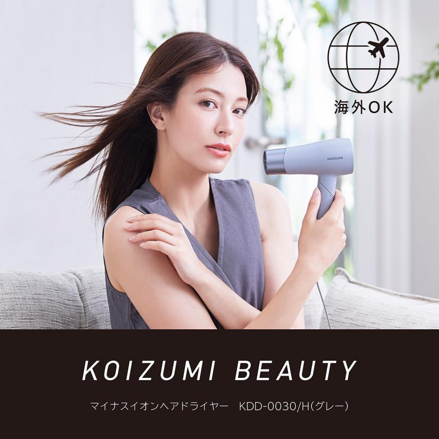 MONSTER（コイズミ） コイズミ 海外対応ドライヤー KDD-0030/H グレー