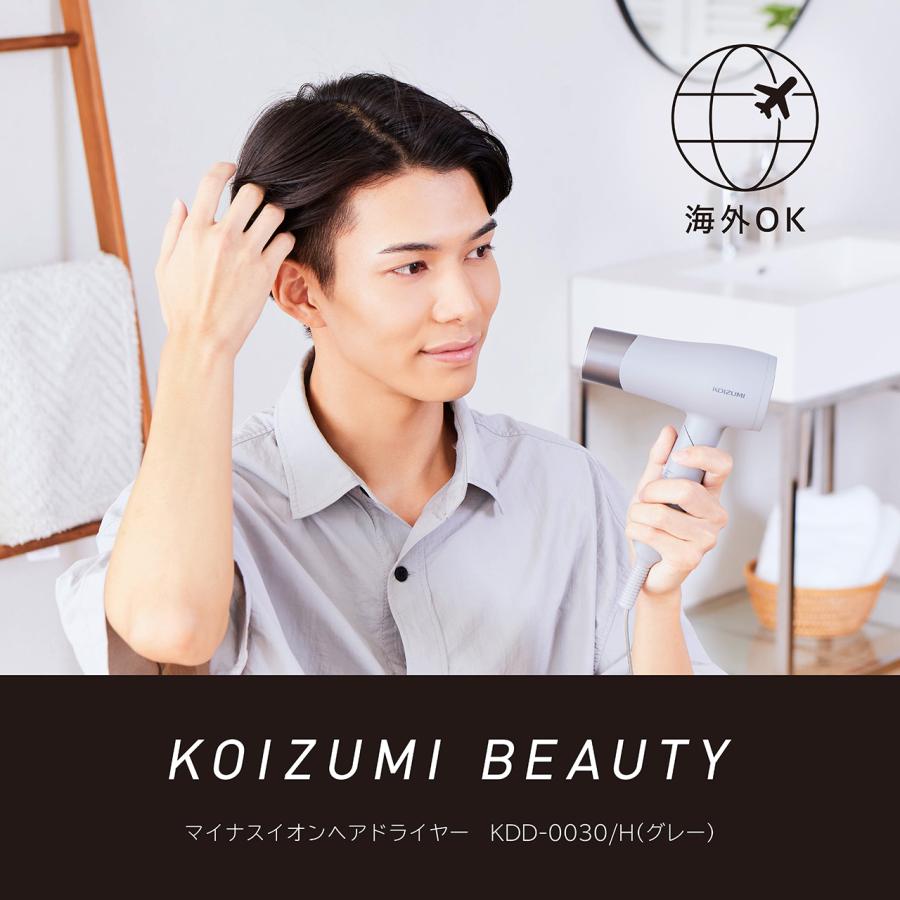 MONSTER（コイズミ） コイズミ 海外対応ドライヤー KDD-0030/H グレー