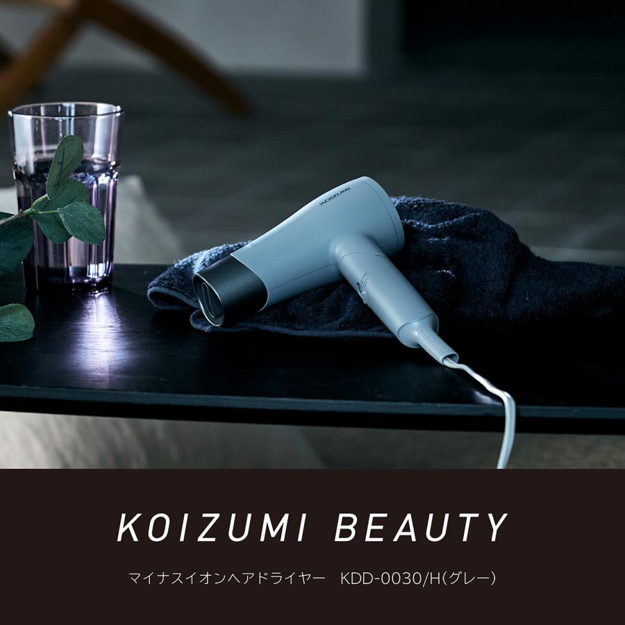 MONSTER（コイズミ） コイズミ 海外対応ドライヤー KDD-0030/H グレー