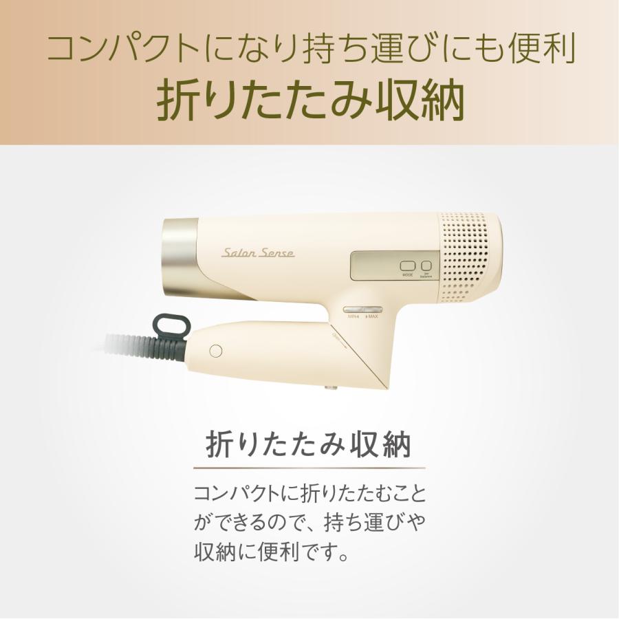 KOIZUMI（コイズミ） [在庫処分]サロンセンス BLDC ハイスピードイオン