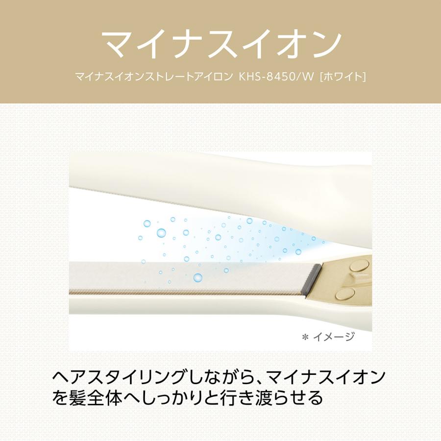 サロンセンス300 サロンセンス スタンダード マイナスイオン