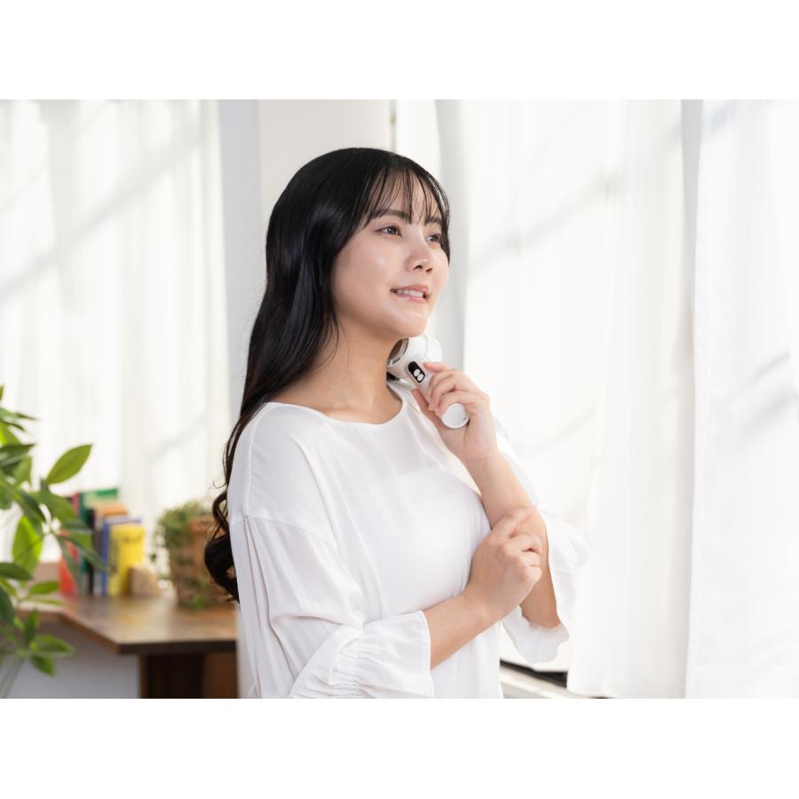 KOIZUMI（コイズミ） [26年発売] ひんやりハンディファン 冷却プレート