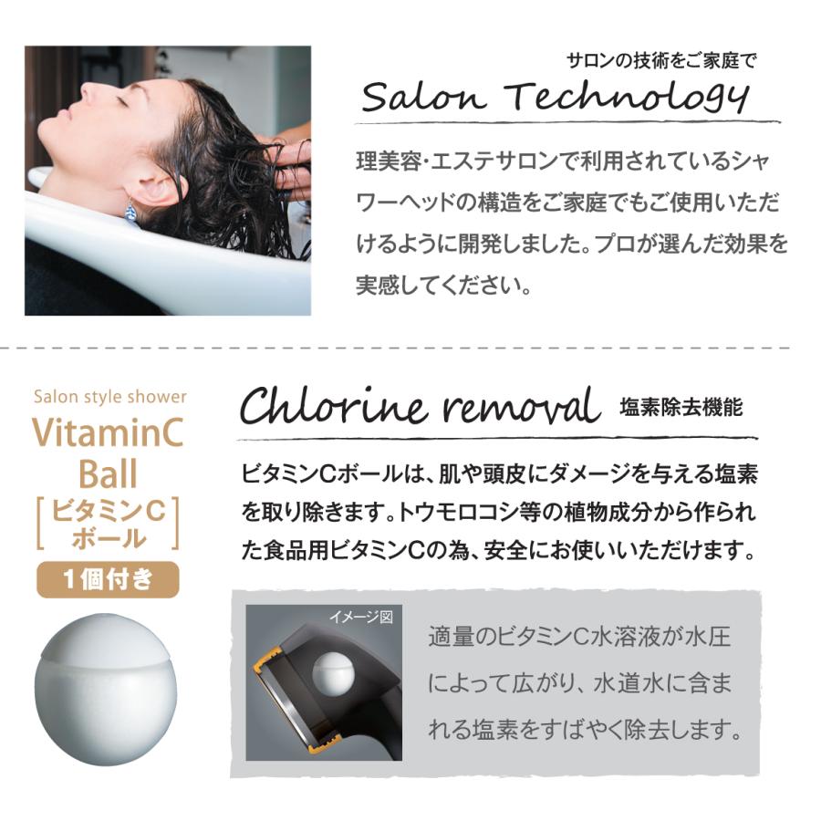 Arromic（アラミック） サロンスタイルビタミンCシャワー 浄水シャワー