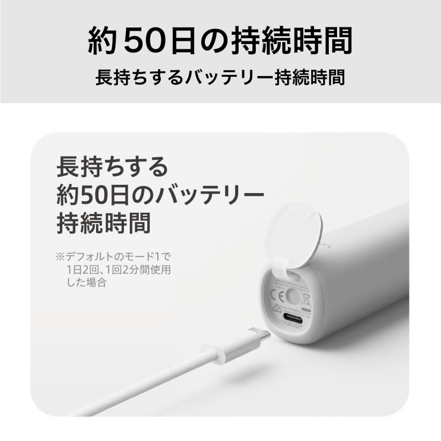 Laifen（ライフェン） 【正規品】Laifen WAVE SE 振動式電動歯ブラシ