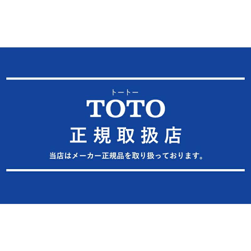TOTO ホース付シャワー（コンフォート、めっき、1600） THYC89H コンフォートウェーブシャワー 正規品 日本製 4940577209627 節水シャワーヘッド THYC89H|||の画像