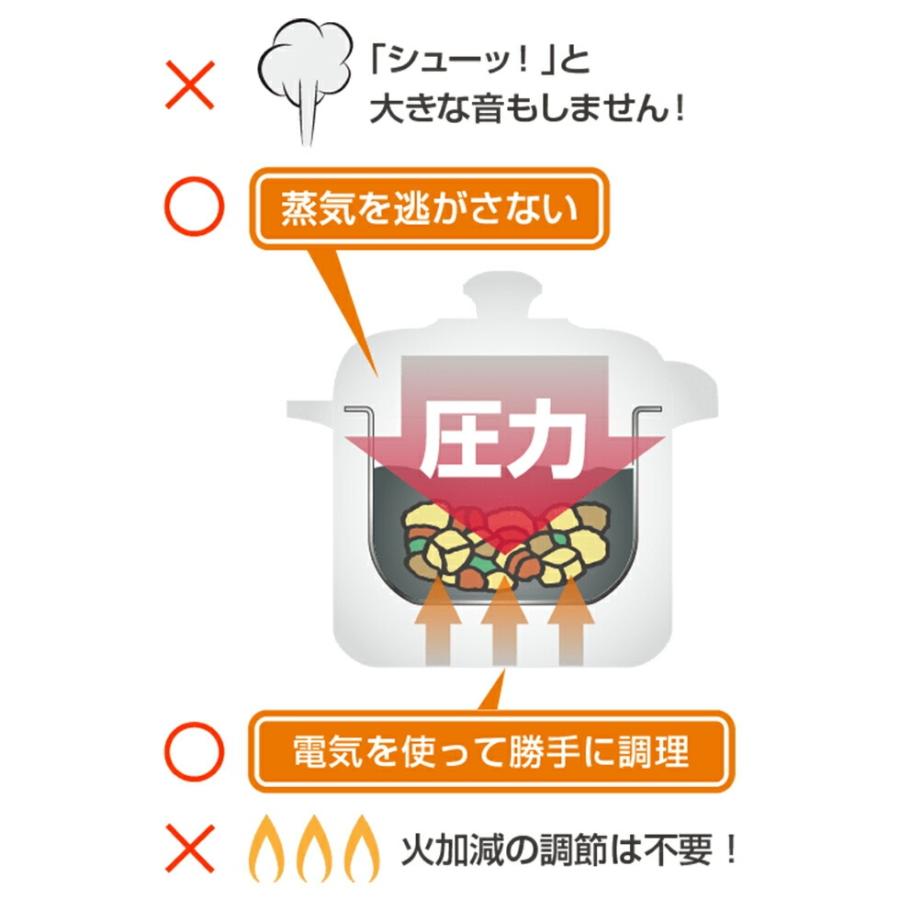 ワンダーシェフ 電気圧力鍋 やわらかさん 3L OEDE30 レシピ付き 時短