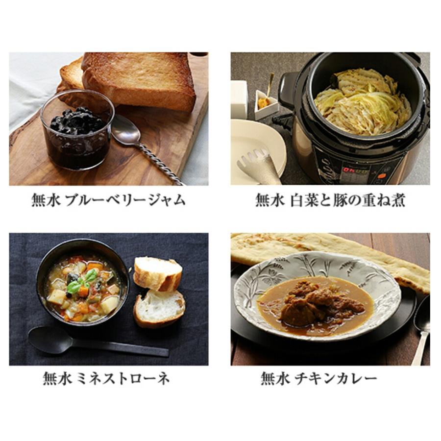 ワンダーシェフ 電気圧力鍋 やわらかさん＋プラス 3L OEDE30（P