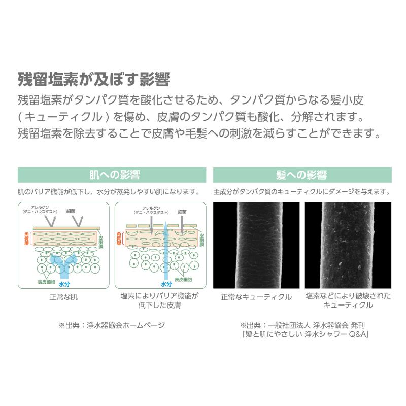 SANEI 三栄水栓 ウルトラファインバブル浄水ミストシャワーヘッド(suin