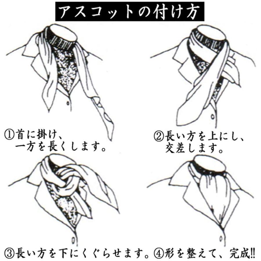 超美品 ブラック レッド ボーダー ペイズリー ジャカード アスコットタイ 保存版 Zoetalentsolutions Com