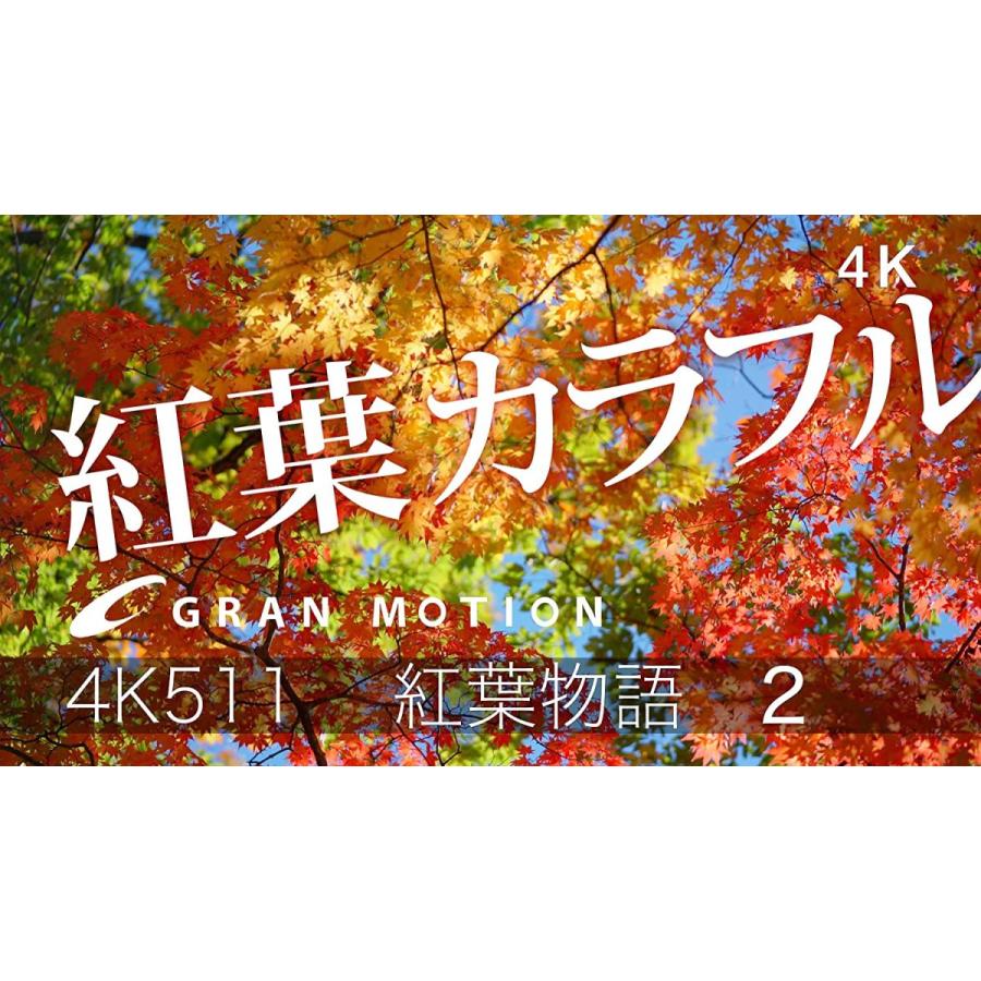 公式サイト 4k511 4k動画素材集グランモーション 紅葉物語2 ロイヤリティフリーdvd素材集 Wantannas Go Id