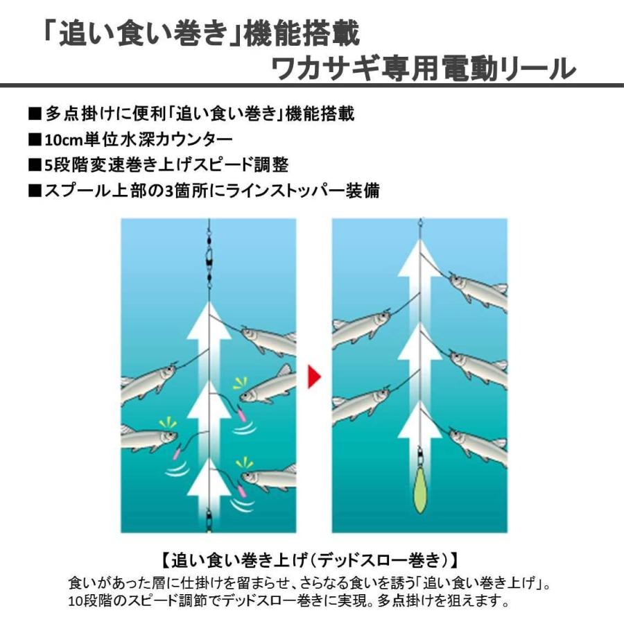 50 Off ダイワ Daiwa ワカサギ 電動リール クリスティア ワカサギ Cr Iii マットブルー 国際ブランド Www Fiscaliaguerrero Gob Mx